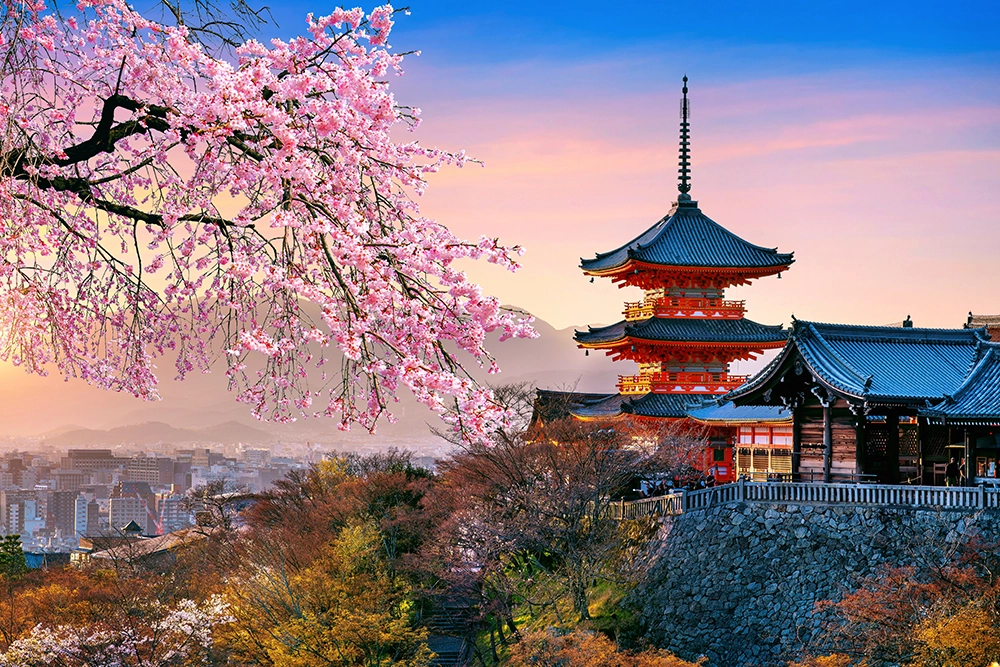 interesting facts about japan