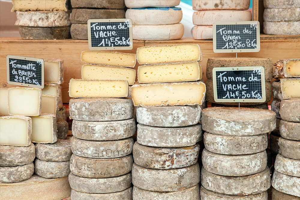 france fun facts