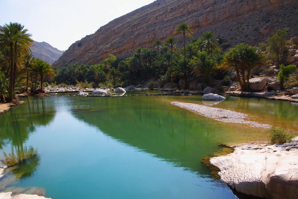 Wadi Bani Khalid Oasis